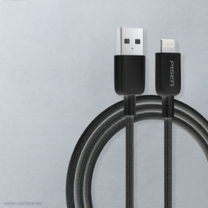 pisen | Apple Compatible Fast Charging Data Cable 2m