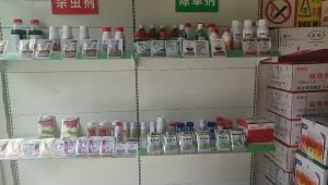 💗🙋‍♀️💗敌草快二氯盐20%果园林地荒地非耕地不伤土壤除草剂200g 批发