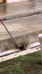 HEYMAN 2m/1.5m Stainless Steel Foldable Snake Catcher Snake Tong Snake Clamp with Zigzag Wide Jaw Penangkap Ular Alat Tangkap Ular Penyepit Ular 捕蛇器 抓蛇工具