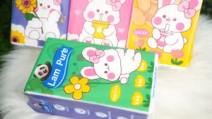 【4 Packs】LamPure 4-Pack Cute Bunny Hanging Tissue  Baby-Friendly Tissue 4-Ply Ultra Soft 130mm × 170mm 848 Sheets 212 Pull