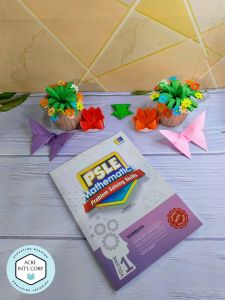 PSLE Mathematics Problem Solving Skills Series Vol 1 - Numbers