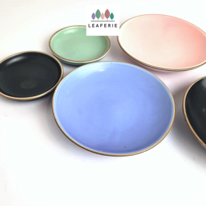The Leaferie Rainbow Dish plant pots Trays . Ceramic flowerpot base. flowerpots plate . flower pot tray . planter