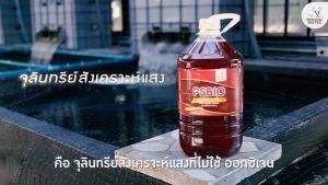 PSBIO พีเอสไบโอ จุลินทรีย์กำจัดของเสียหรือเมือกที่สัตว์น้ำ