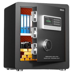 deli | Fingerprint & Electronic Password Unlocking Security Safe
