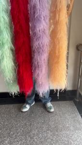 Colorful Ostrich Feather Boa 4 6 8 10 20Ply 2M Vintage Plume Scarf for Wedding Dress Decoration Fashion Shawl Sewing Accessories