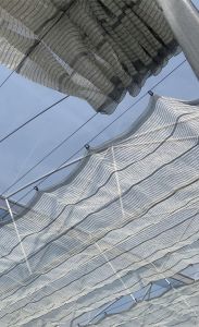 (50ตัว)ห่วงแขวนแสลน (แบบหนา)หรือ แขวนแสลน (1กล่อง มีจำนวน 50ตัว) สำหรับทำโรงเรือน สินค้าในไทย