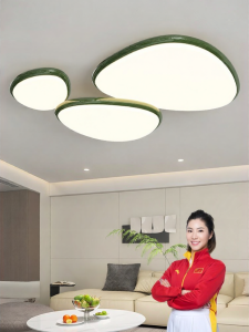 HUANGJIANG | Protective Vision Full Spectrum Ceiling Light