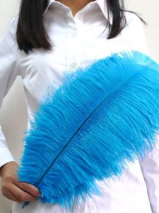 Champagne Colored Ostrich Feather Decorations 45-50cm Indoor Wedding Stage Props Hotel KTV Floral Arrangements Accessories