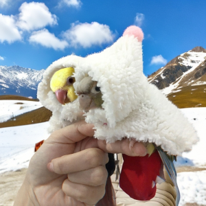 Fleece Lined Autumn Winter Parrot Clothes Outdoor Small Sunbird Anti Freezing Tiger Skin Monastic Cloak Bird Apparel