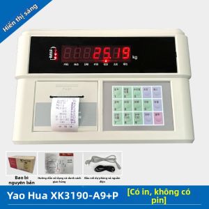 CHUANGYI | Máy Đo Trọng Lượng Nặng 100 Tấn