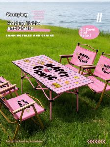 YINSHANG | Portable Car-Carry Outdoor Folding Table and Chair Set Camping Travel