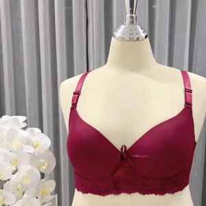 ความสวยงามสูง เสื้อในสาวอวบแต่งลูกไม้ รูปแบบอักเสบเส้น คัพ E มีโครง เต็มเต้า 6 ตะขอ