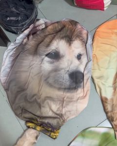 Áo Bọc Bảo Vệ Vali 22-30"(15-30kg) Thun Co Giãn 4 Chiều Husky Chống Rách