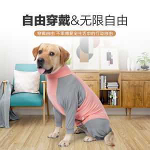 Summer Thin Dog Dog Clothes Post-Operation Clothes Medium and Large Size Dog Clothes Anti-Lint Four-Legged Pet Clothing Air Conditioning Clothes Pet Clothes