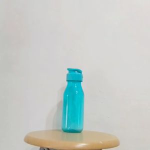 Tumbler Orlando Souvenir Kantor - Tumbler Promosi Custom