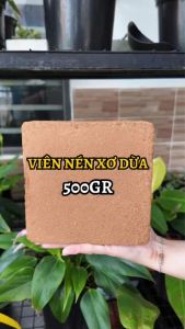Viên nén xơ mụn dừa 500Gr đã qua xử lý - Giá thể trồng cây chất lượng cao | Độc quyền Family Garden