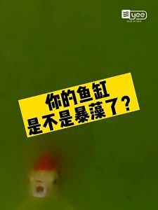 Dung Dịch Diệt Tảo YEE ALGAECIDE | Loại bỏ Rêu Tảo Nước đục Nước vàng | Chuyên dùng Bể Thủy sinh