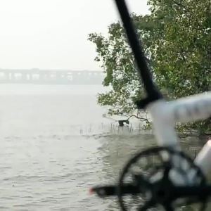 Java | 3 Foldable Portable Commuter Bicycle 12 Speeds