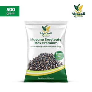 Benih Mucuna Bracteata Max Lokal / Max Premium – Cover Crop Penutup Tanah 500gr 1kg – Algazali Agrotech