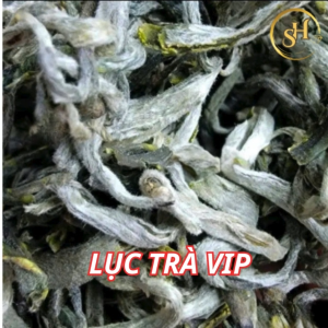 Trà Shan tuyết Cổ thụ truyền thống (Lục Trà VIP)