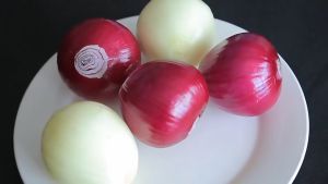 High-yield Red onion Seeds White or yellow onion seeds for home and manor planting