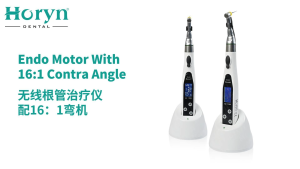 Dental Wireless Endo Motor 16:1 Contra Angle HORYN LED Display 9 Modes Endodontic Root Canal Treatment Instrument