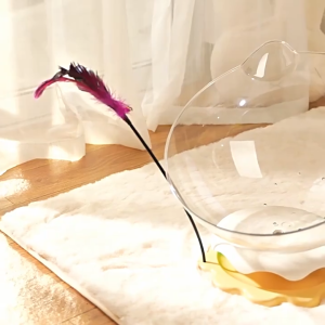 2 in 1 Space Capsule Cat Bed Transparent Cat Nest with Cat Teasing Stick Cat Toy with Turntable