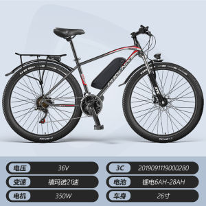 Phoenix Lithium Battery Electric Bicycle New National Standard Small Size Adult Men Women Shared Electric Car Bike