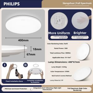 Philips | Modern Minimalist Ceiling Light