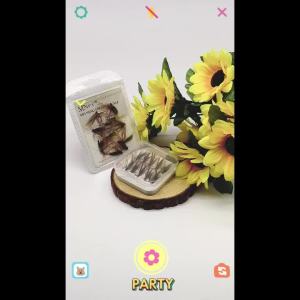 Mồi Câu Ruồi Topranc Feather Wet Fly Giả Dạng Côn Trùng Có Móc Câu Có Ngạnh Dùng Cho Cá Hồi Cá Rô Câu Ruồi Nước Ngọt.