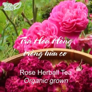 MycoGREEN Trà Hoa Hồng Thảo Mộc PP trồng Hữu Cơ