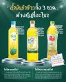 น้ำมันรำข้าว 100% ตรา คิง King Rice Bran Oil Oryzanol 8,000 ppm ขนาด 1 ลิตร. 