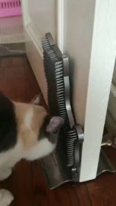 【FREE SHIPPING】Pet Cat Itching Brush Pad Self Service Grooming Brush Anti Itch Hair Scratcher Rubbing Massage Comb Removal Scratching