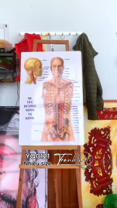 Tranh y tế y khoa treo tường Tranh tài liệu y tếTranh Y khoa huyệt đạo kinh lạc đông y tráng gương treo tường YQC121