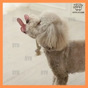 Local Delivery-Dog Cat Toy Cotton Rope + PU Leather Toys Pet Squeaky Sound Toy Shape Animal Cotton Rope Chewy Toy