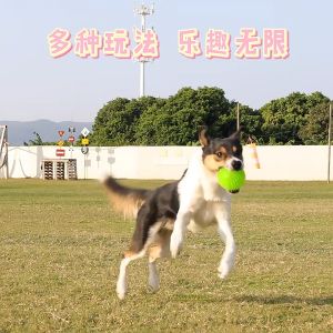 Eetoys Pet Rubber Bounce Ball Toys - Spiky Squeaky Sounding Glitch Ball