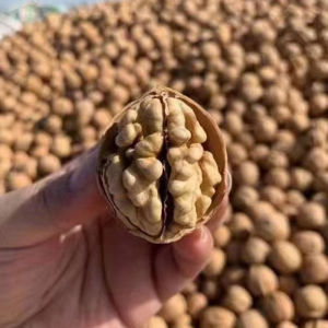 2025 Stock Xinjiang 185 Paper Skin Walnut Raw Flavor Thin Shell Snack Bagged Non Shelled Edible Agricultural Products