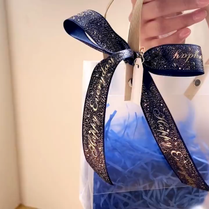 Gift Bag Transparent Birthday Bag Handbag Ribbon Gift Box Pink Simple