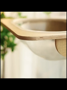 ไม้กระโดดลูกแมวตัวจริงแคปซูลใสป้องกันหลุมเจาะหน้าต่างกระจก