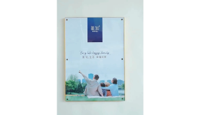 [SG] [Clearance Sale] A2/A3/A4 inch Aluminum Alloy Ultra-thin Photo Frame Large Size Picture Frame Puzzle Frame