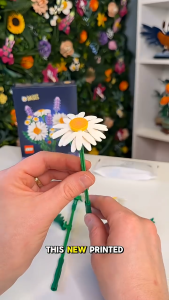 [BrickStory] LEGO Botanicals Daisies (11508)(133 Pieces)