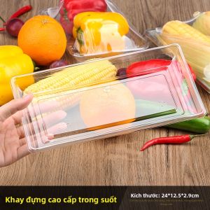 MOLORE | Khay Quả Hình Vuông Dùng Một Lần Bán Sỉ