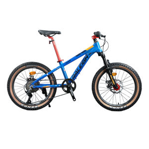 Raleigh | Children 20 inch Mountain Bike