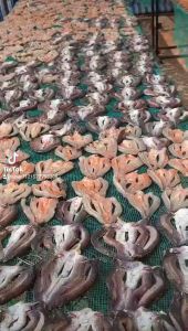 500GR KHÔ CÁ LÓC ĐỒNG KHÔNG XƯƠNG LOẠI ĐẶC BIỆT - ĐẠI NGƯ