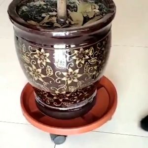 COLOGO 🥇 Universal Plant Pot Tray with Wheels Plastic Round Garden Plants Flower Tray