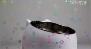 (Stainless Steel Cat Bowl) Double Bowl for Protecting Neck Slanted Cat Bowl Pet Food Bowl Cat Supplies 猫咪用品 不锈钢猫碗