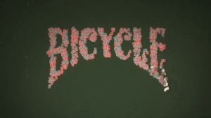 BICYCLE Bicycle Playing Cards Cardistry Card Practice Card Tallyho Classic Single License Plate
