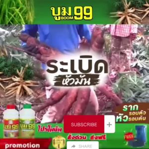 บูม99 ขนาด 500 cc โปร 2 ชุด 🔥มีส่วนลด แถมเสื้อ+ผงอะมิโน🔥ส่งฟรี✨