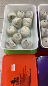 ขนมเปี๊ยะบ้านแม่มด อ.พระพุทธบาท จ.สระบุรี