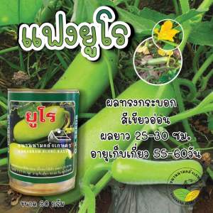 แฟงยูโร 🌱ผลทรงกระบอก สีเขียวอ่อน ตราOk seed ขนาด50กรัม